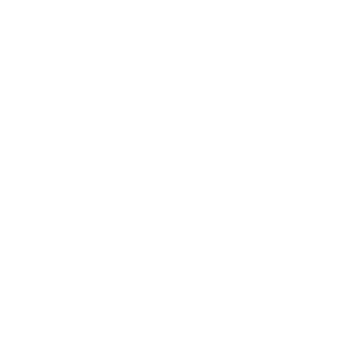 Cheryl Spencer Bird Supplies Store