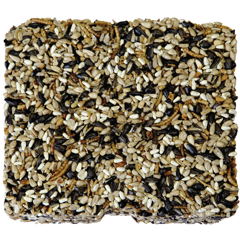 Kaytee Assorted Species Seed and Mealworm Seed Cake 1.4 lb