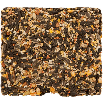 Kaytee Woodpecker Sunflower Seed Cake 1.85 lb