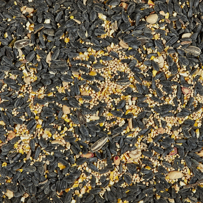 Kaytee Songbird Black Oil Sunflower Seed Wild Bird Food 14 lb