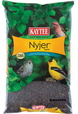 Kaytee Nyjer Songbird Niger Seed Wild Bird Food 8 lb