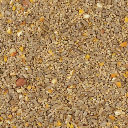 Kaytee No Mess Songbird Hulled Sunflower Seed Wild Bird Food 5 lb