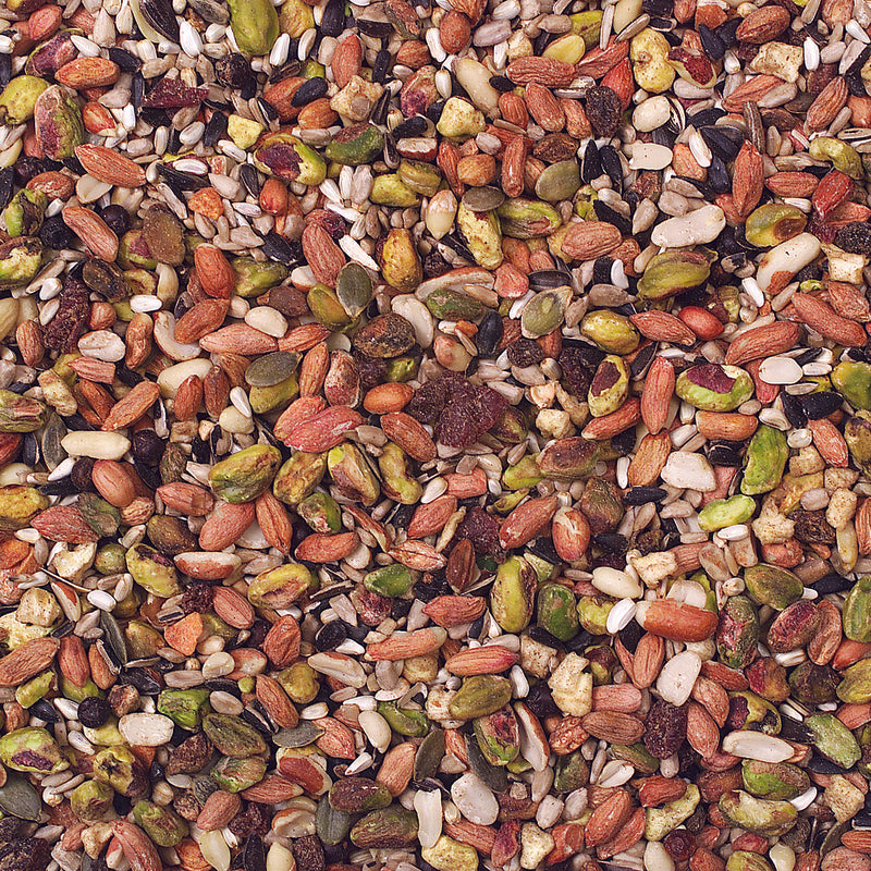 Wild Delight Woodpecker Sunflower Seeds Wild Bird Food 5 lb