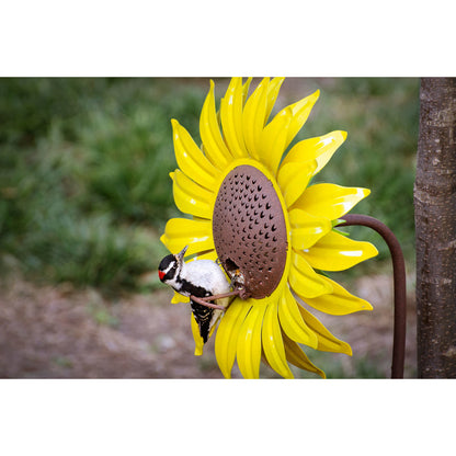 Desert Steel  Sunflower  Wild Bird  16 oz. Steel  Decorative  Bird Feeder  1 ports